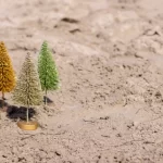 four miniature christmas trees in the sand.