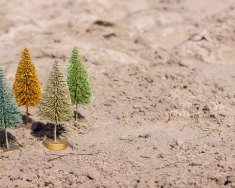 four miniature christmas trees in the sand.