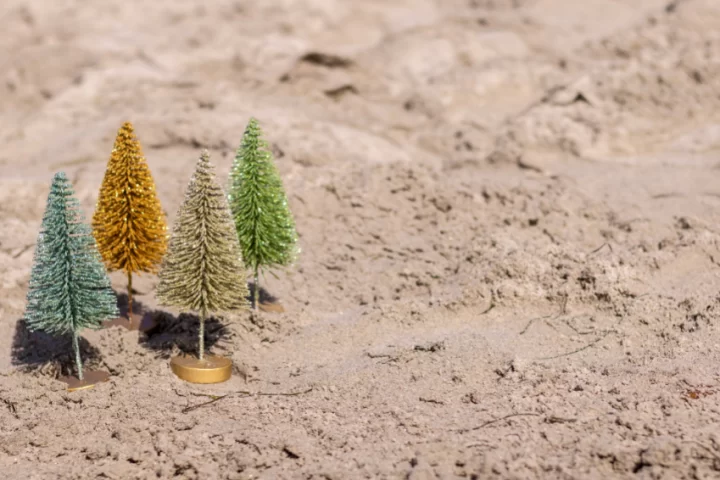 four miniature christmas trees in the sand.